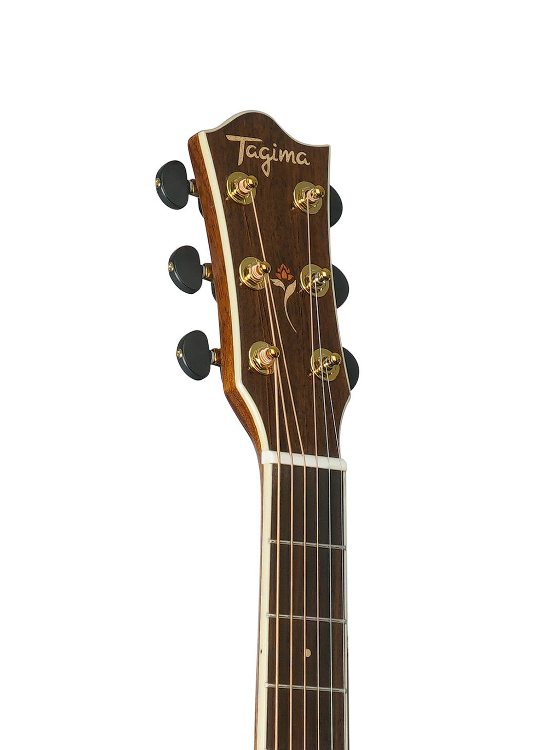 Acoustic Electric Guitar Tagima Florens FS-200 Dreadnought