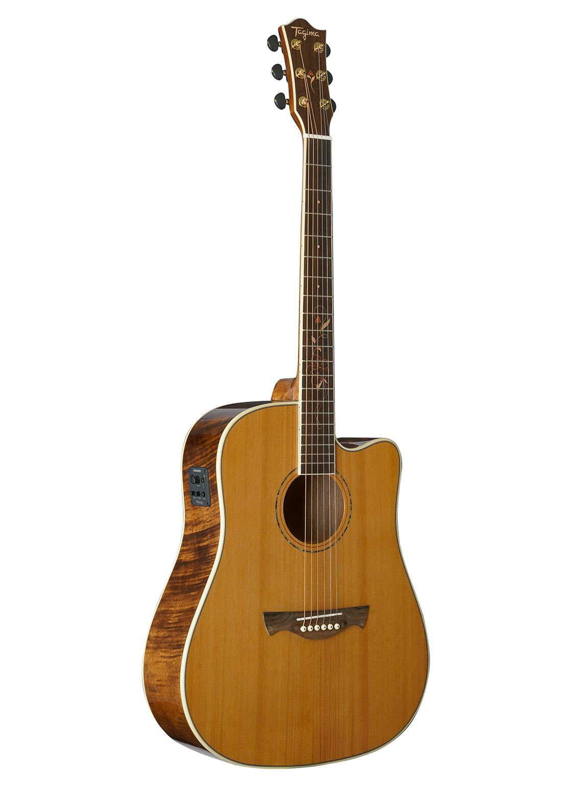 Acoustic Electric Guitar Tagima Florens FS-200 Dreadnought