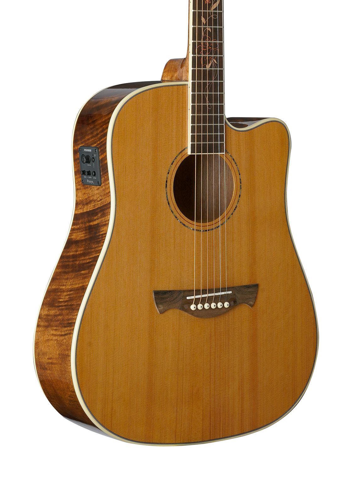 Acoustic Electric Guitar Tagima Florens FS-200 Dreadnought