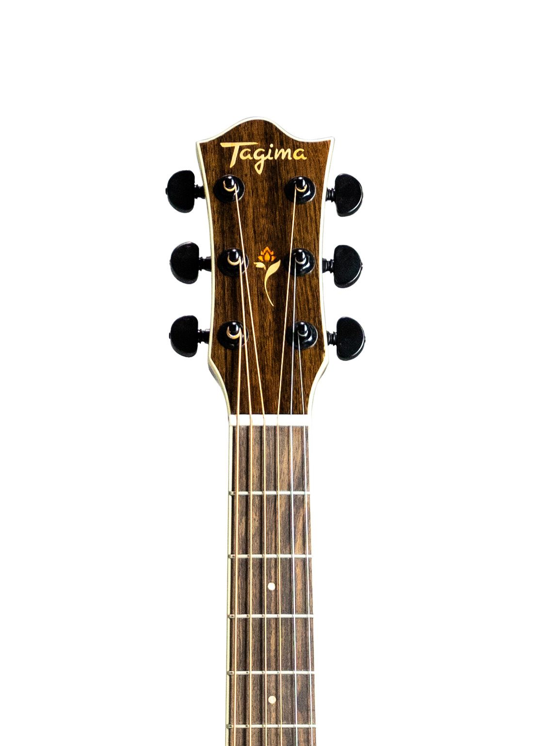 Acoustic Electric Guitar Tagima Florens FS-700 Jumbo