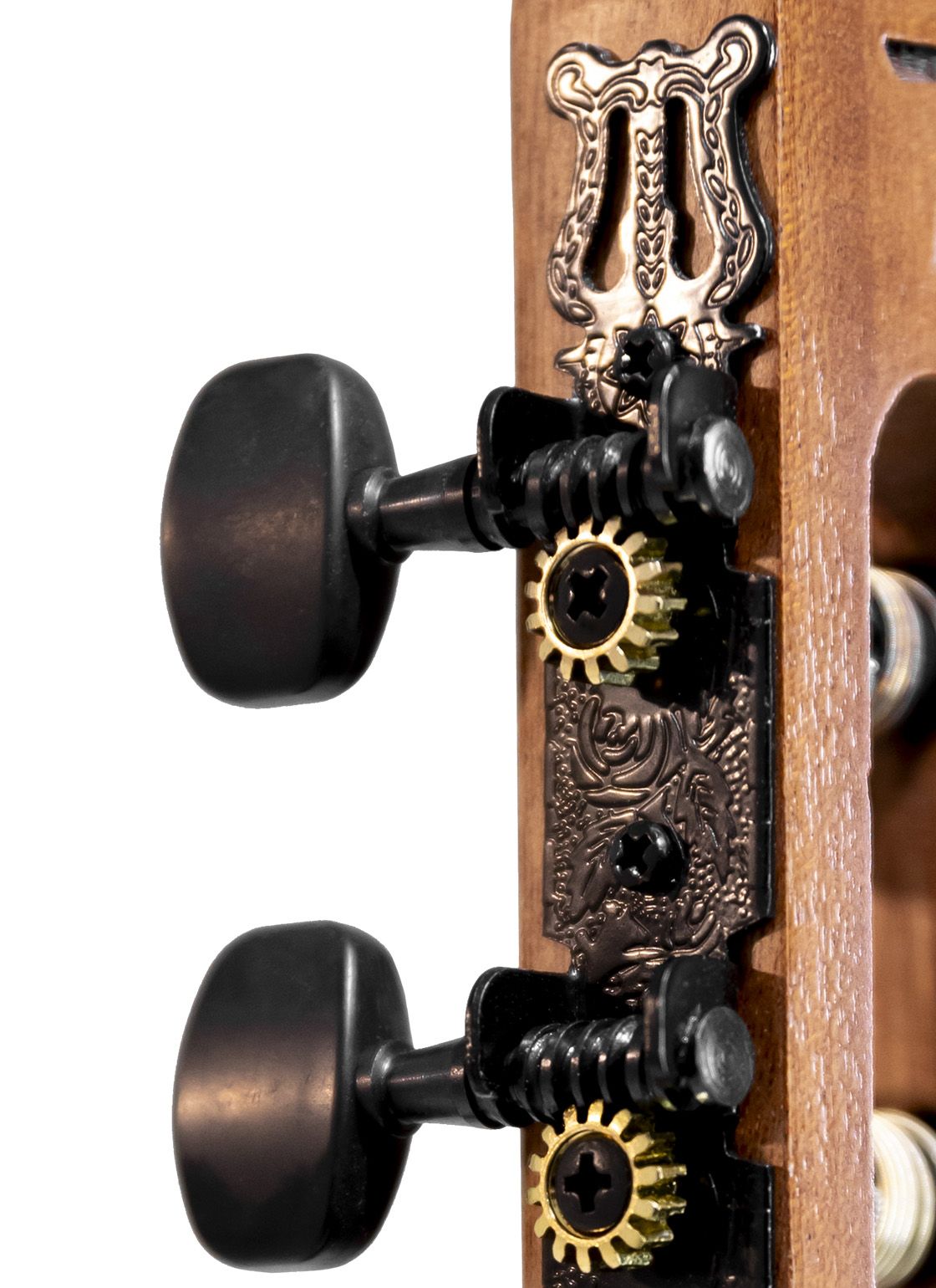 Classical Acoustic Electric Guitar Tagima VEGAS Grand Auditorium