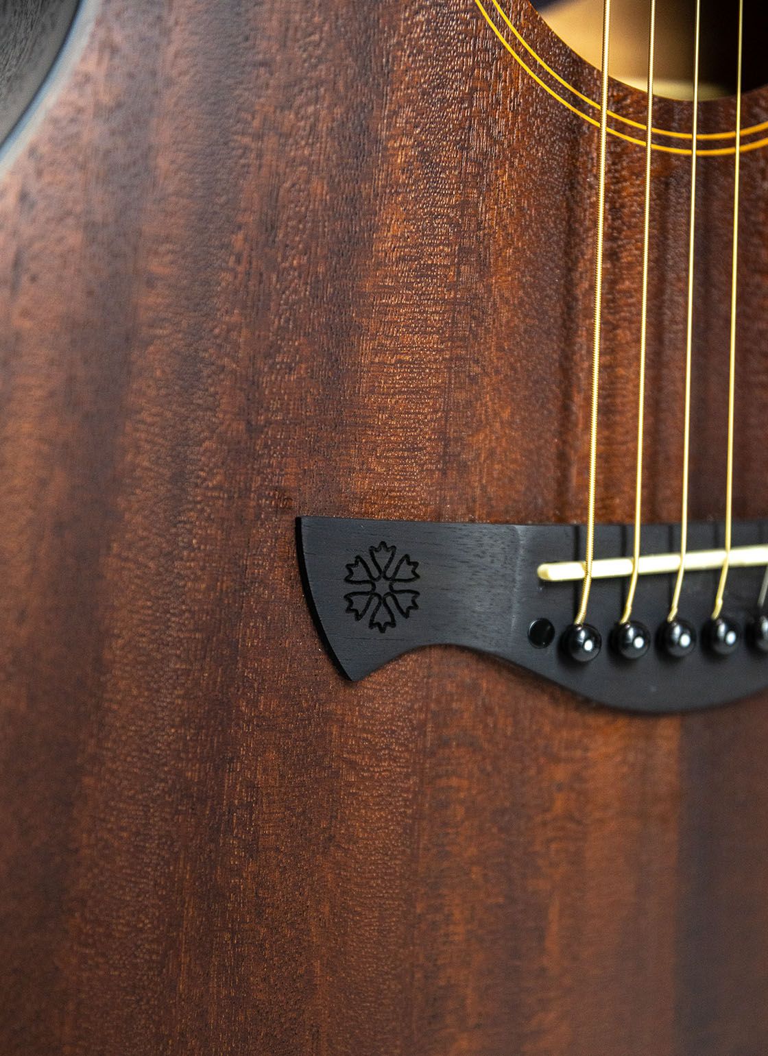 Acoustic Electric Guitar Tagima DETROIT Grand Concert