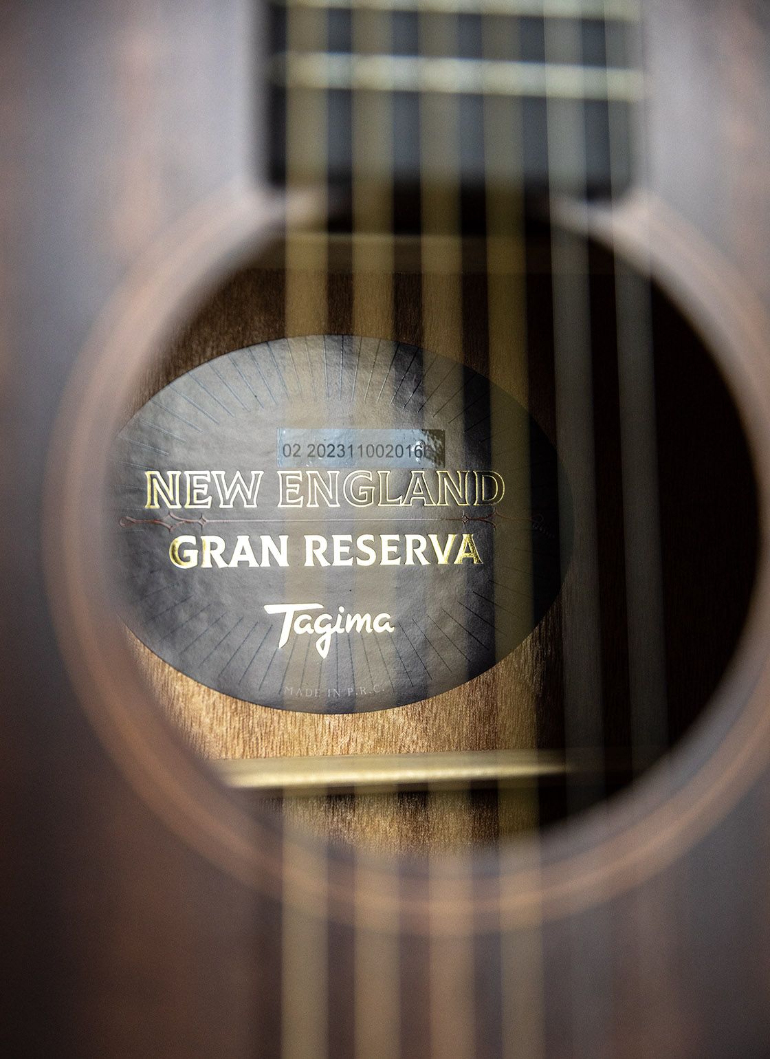 Acoustic Electric Guitar Tagima NEW ENGLAND Dreadnought