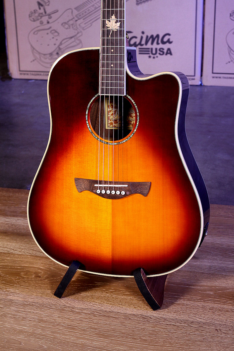 Acoustic Guitars Canada Series