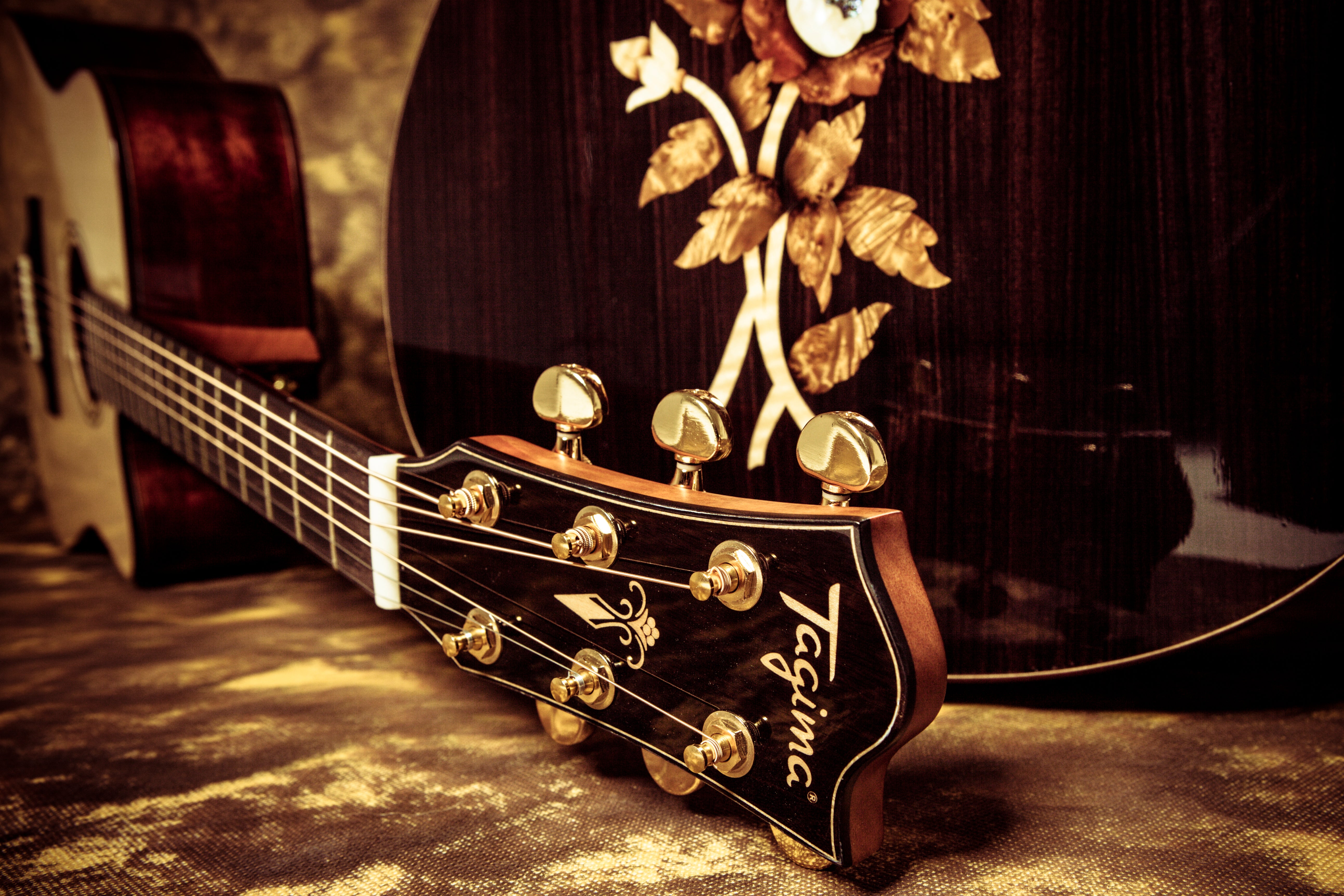 Tagima Guitars