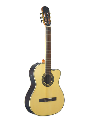 tagima-acoustic-WS12QE.png?v=