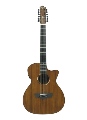 tagima-acoustic-solaris121.png