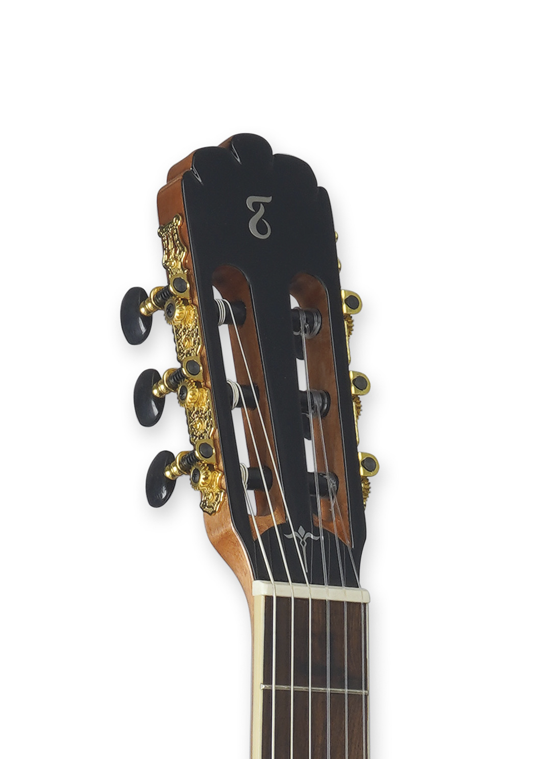 Acoustic Electric Guitar Tagima WS-12 1/2 Mini